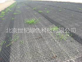 供應(yīng)用于邊坡治理的加筋麥克墊護(hù)坡