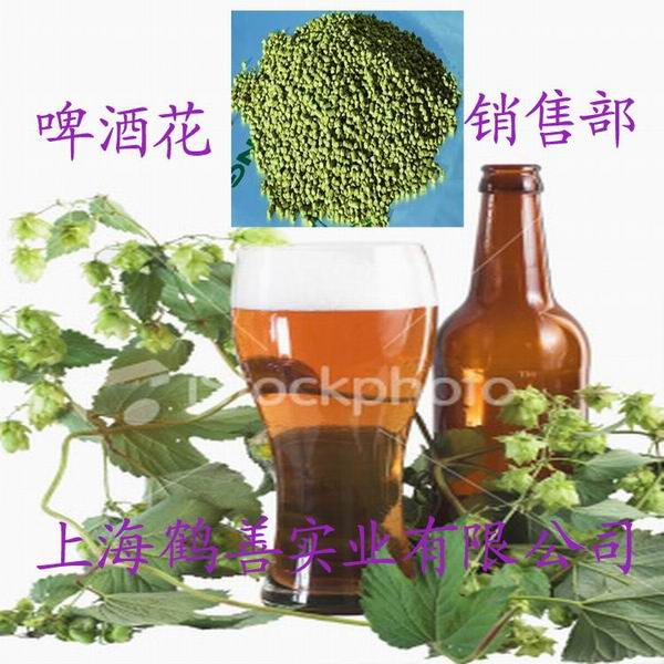供應(yīng)用于改良劑的啤酒花廠家正品 烘焙增味劑