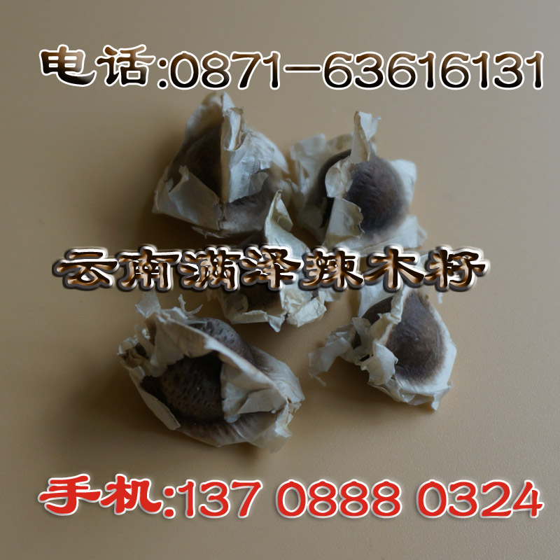 昆明辣木籽供應(yīng)電話137 0888 0324，辣木籽的功效，辣木籽批發(fā)，辣木籽種植技術(shù)，辣木籽的效果，昆明辣木籽專賣店