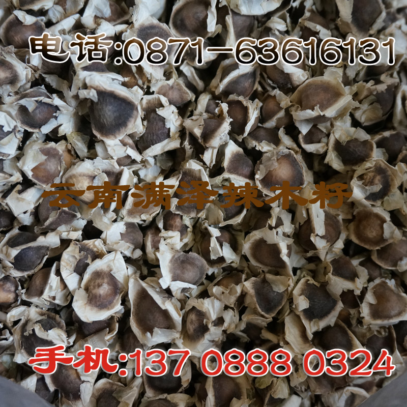 昆明辣木籽供應(yīng)電話137 0888 0324，辣木籽的功效，辣木籽批發(fā)，辣木籽種植技術(shù)，辣木籽的效果，昆明辣木籽專賣店