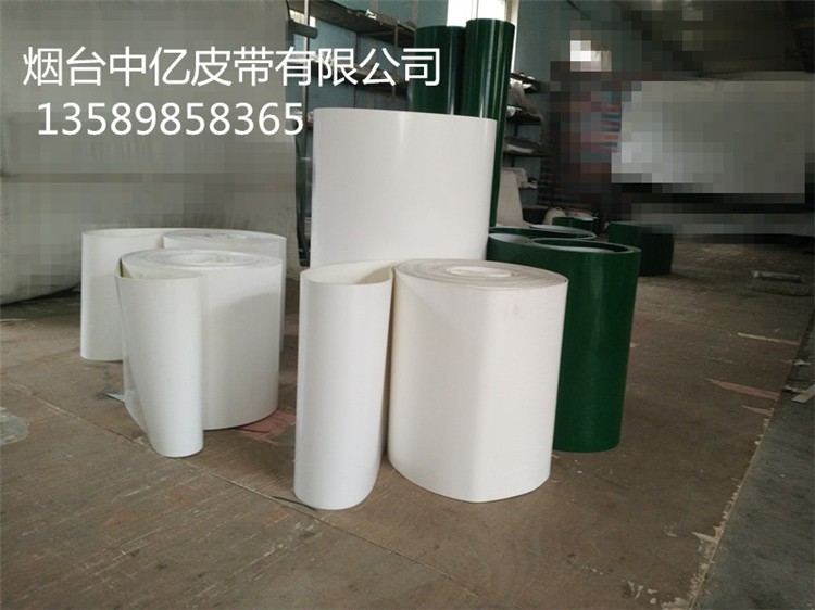 供應(yīng)濰坊雞糞輸送帶雞籠清糞皮帶雞糞輸送帶廠家