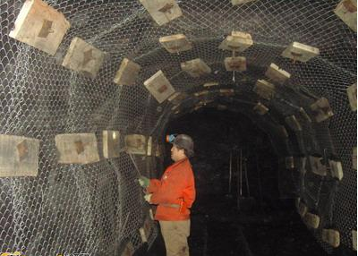 勾花網(wǎng)礦用支護(hù)防護(hù)鐵絲網(wǎng)_安平縣富凱絲網(wǎng)廠