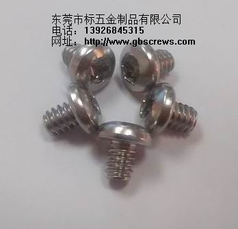 供應(yīng)廠家直銷梅花螺絲|不銹鋼梅花螺絲|梅花螺絲生產(chǎn)廠家|不銹鋼螺絲生產(chǎn)廠家