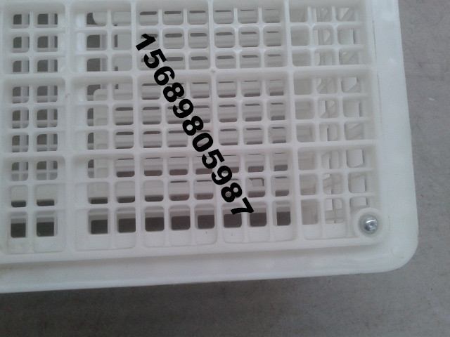 供應(yīng)用于周轉(zhuǎn)雞的容量大經(jīng)久耐用大雞筐塑料雞籠拉雞塑料籠子