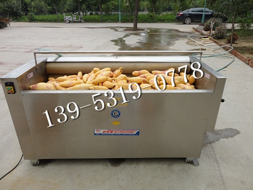 供應(yīng)用于蔬菜清洗的批量供應(yīng)蔬菜清洗機(jī)，毛刷清洗機(jī)