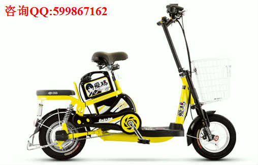 供應愛瑪48VQQ電動車