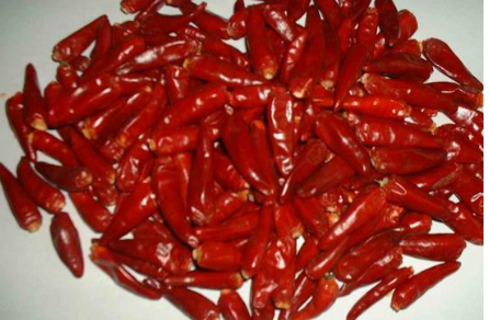 供應佛山嘉仁辣椒醬廠家批發(fā)