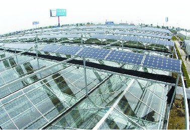 溫室大棚造價(jià)  溫室工程建設(shè)  山東豪達(dá)瑞科光伏溫室