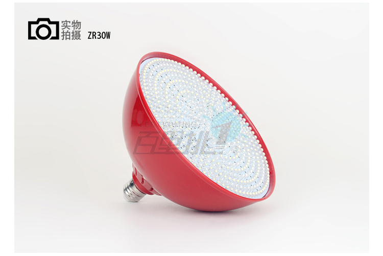 供應(yīng)企美LED水果燈豬肉燈燒臘檔