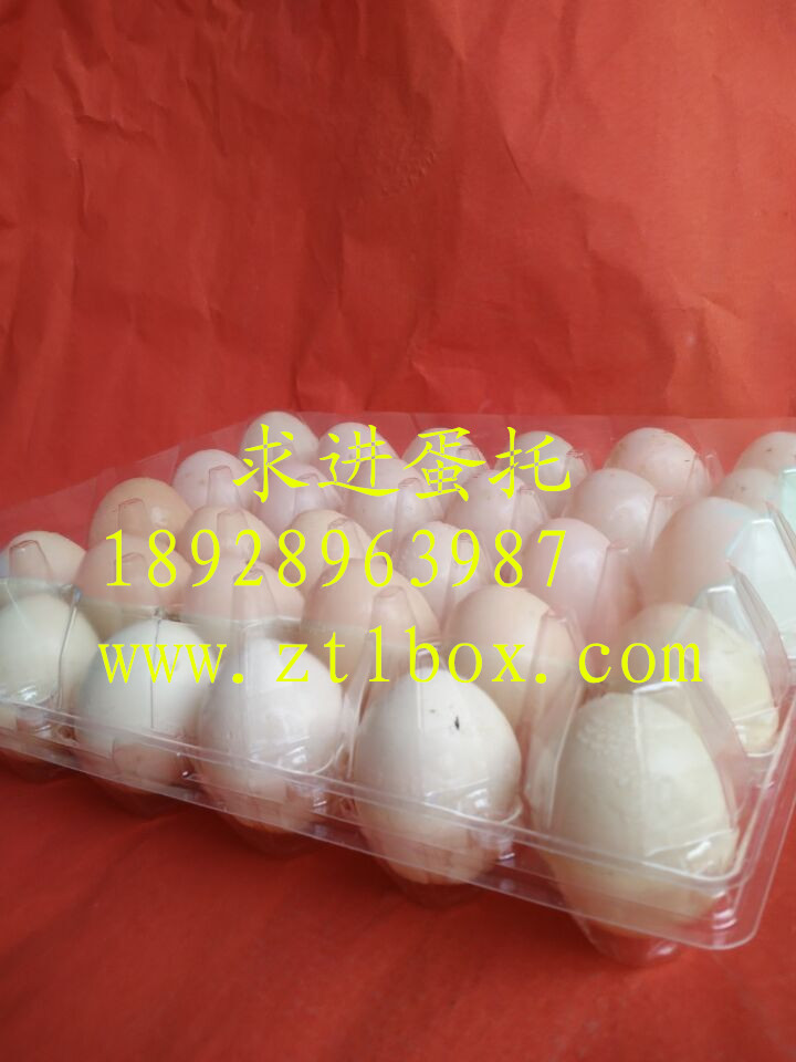 鴨蛋盒子價格   鴨蛋盒子批發(fā)