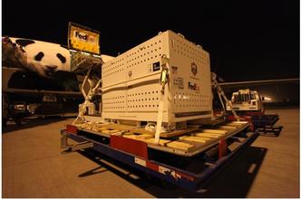 供應山東泰國國際物流東營市到泰國曼谷