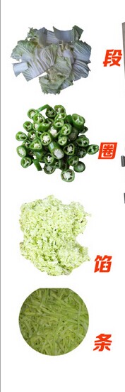 供應(yīng)球莖類切菜機， 多功能電動切絲機 蔬菜辣椒切段切丁切片機