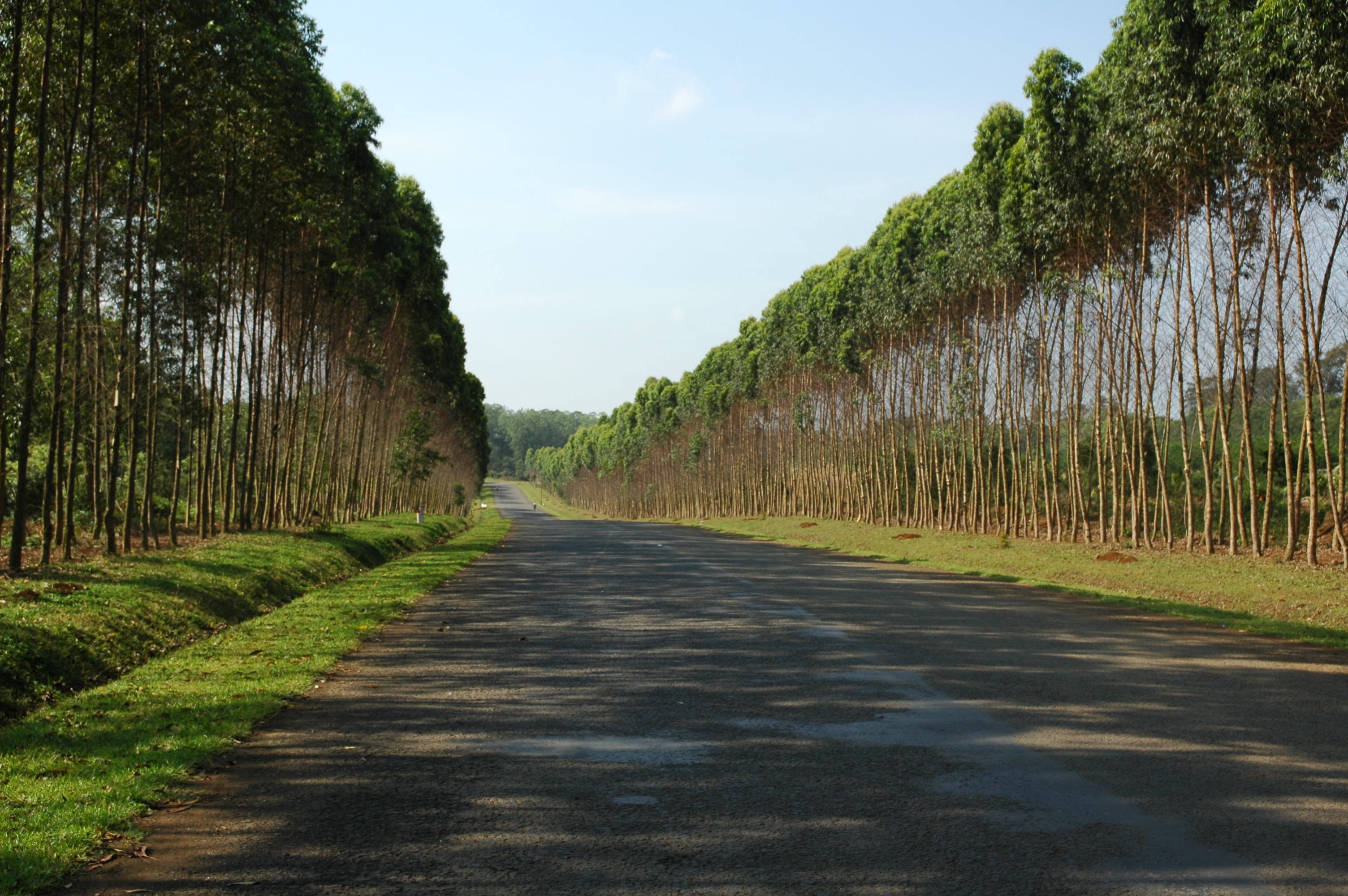 供應(yīng)乳化 瀝青