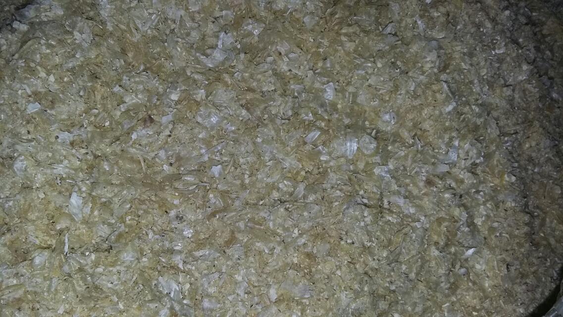 供應(yīng)用于牛羊，畜禽的牛羊飼料蘑菇渣