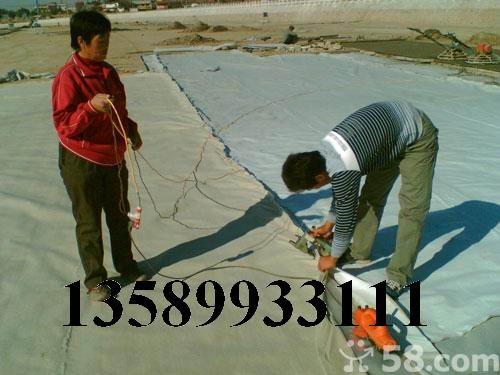 供應(yīng)酒泉土工膜廠家 酒泉土工膜價(jià)格