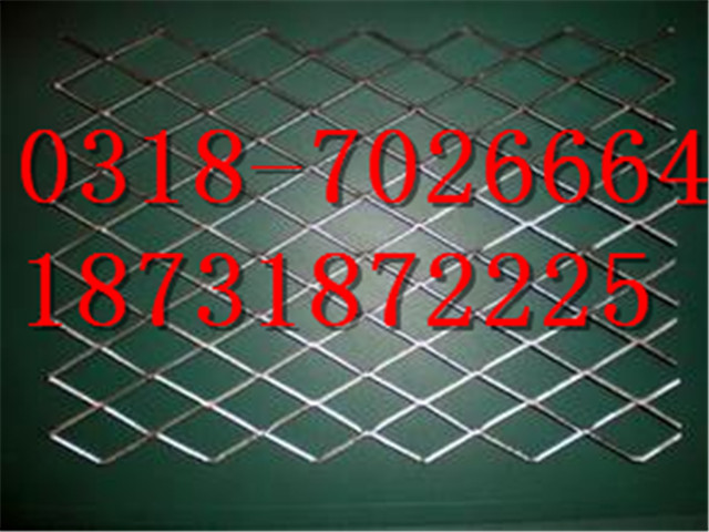 供應(yīng)鋼板網(wǎng)防護(hù)網(wǎng)/建筑用鋼板網(wǎng)/鋼板網(wǎng)廠