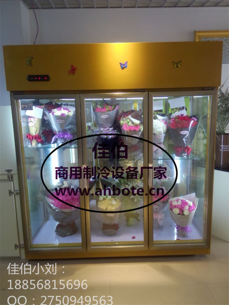 供應(yīng)用于鮮花保鮮的鮮花保鮮陳列柜 成都哪里有賣鮮花柜的 鮮花柜多少錢