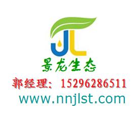供應(yīng)用于邊坡綠化的多花木蘭，廣西多花木蘭批發(fā)