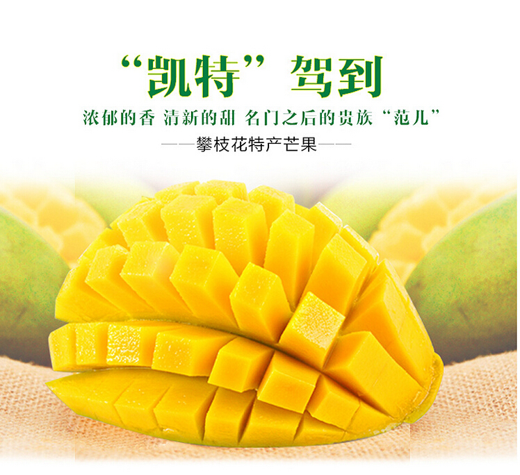 新鮮水果批發(fā)攀枝花芒果新鮮包郵5kg凱特大芒果青芒一件代發(fā)水果