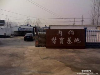 供應(yīng)義烏*多少錢，義烏*批發(fā)，義烏*銷售