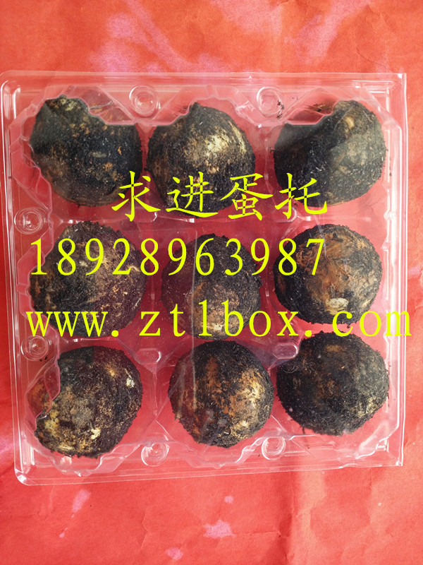 山雞蛋托批發(fā)    山雞蛋托廠家