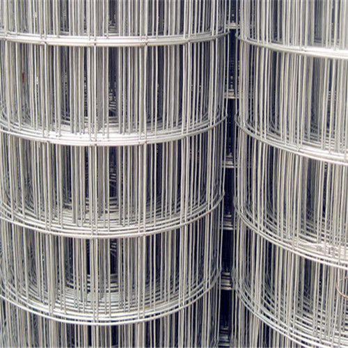 安平馳標廠家專業(yè)生產(chǎn)圈玉米網(wǎng)，圈玉米電焊網(wǎng)，鍍鋅圈玉米鐵絲網(wǎng)批發(fā)