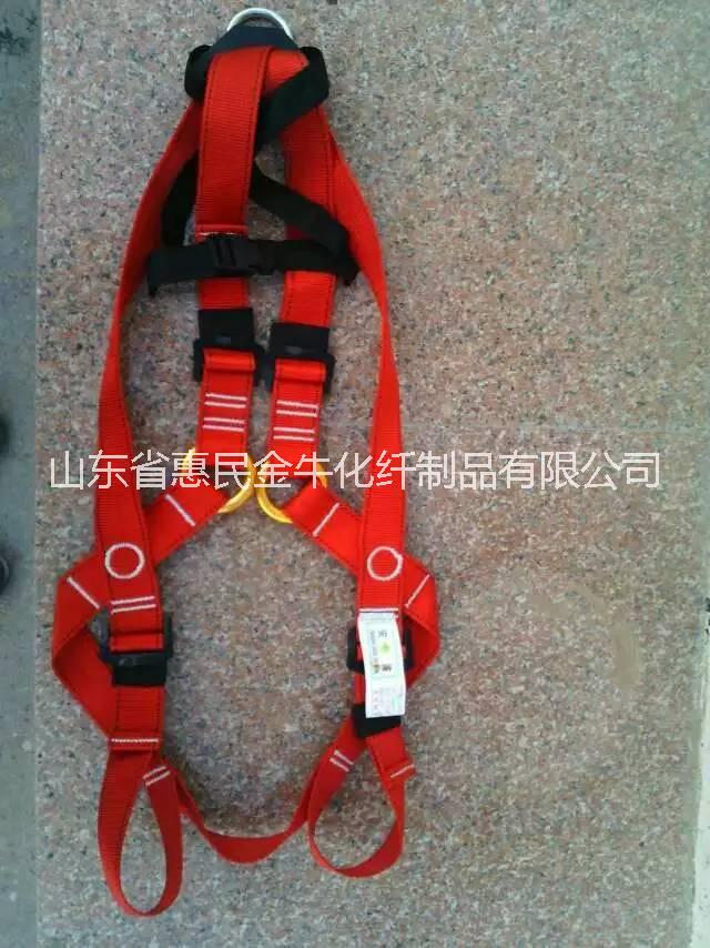 供應(yīng)兒童拓展訓(xùn)練全身式安全帶，山東兒童安全帶哪里有賣