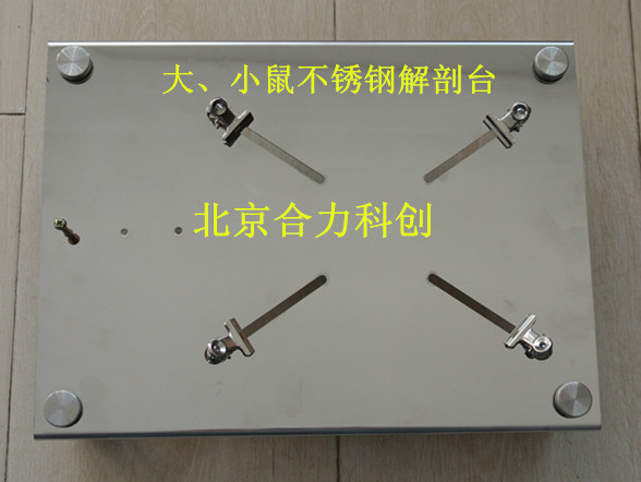 大小鼠解剖板  鼠解剖臺 廠家直