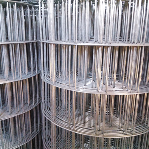 安平馳標廠家專業(yè)生產(chǎn)圈玉米網(wǎng)，圈玉米電焊網(wǎng)，鍍鋅圈玉米鐵絲網(wǎng)批發(fā)