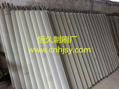 供應(yīng)核桃清洗機(jī)毛刷