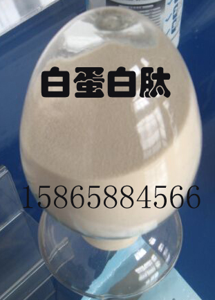 供應(yīng)天久牌深圳一級(jí)高營(yíng)養(yǎng)白蛋白肽 白蛋白肽報(bào)價(jià)