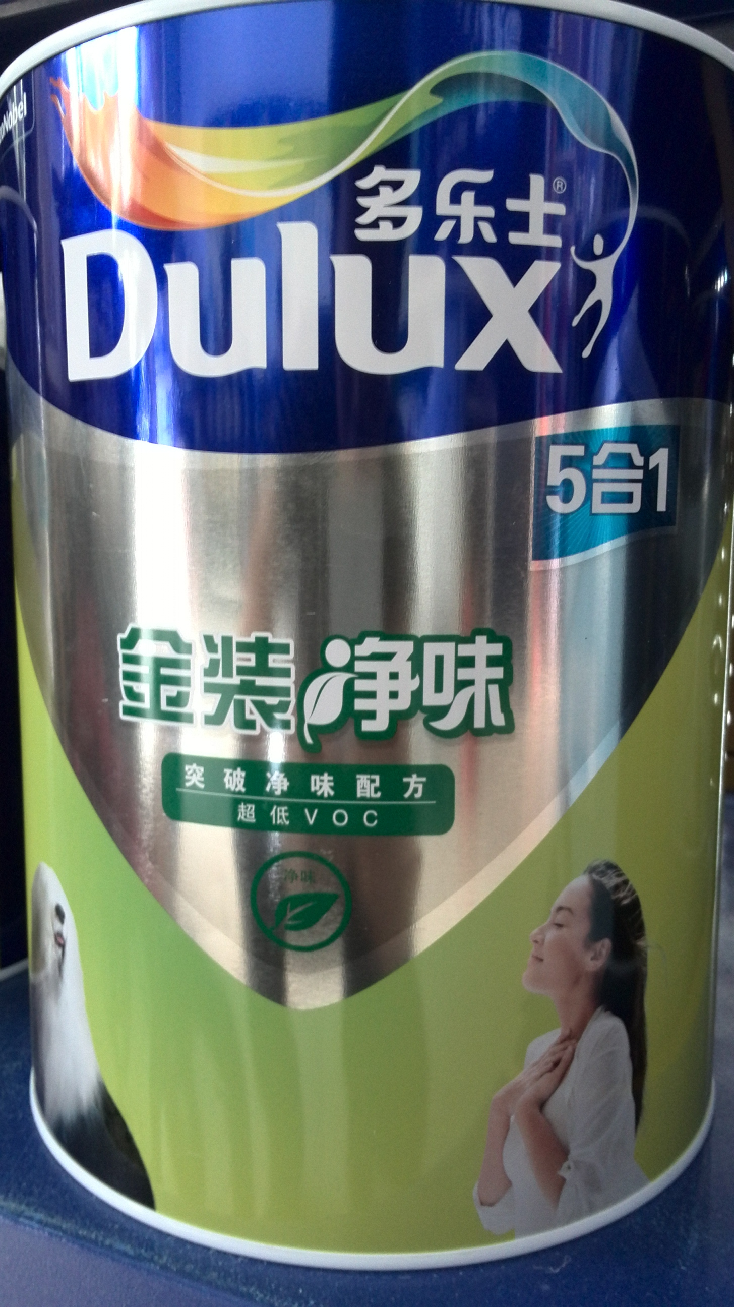 供應用于墻面的多樂士金裝凈味五合一