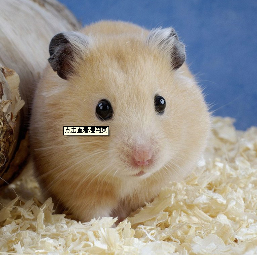 供應(yīng)亞美寵物墊料刨花機 您放心省心 *選擇！