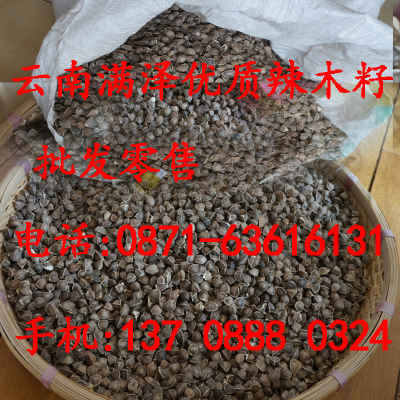 蘇州辣木籽批發(fā)供應(yīng)，江蘇徐州辣木籽哪里買，徐州辣木籽供應(yīng)商，徐州辣木籽種植基地，徐州辣木茶