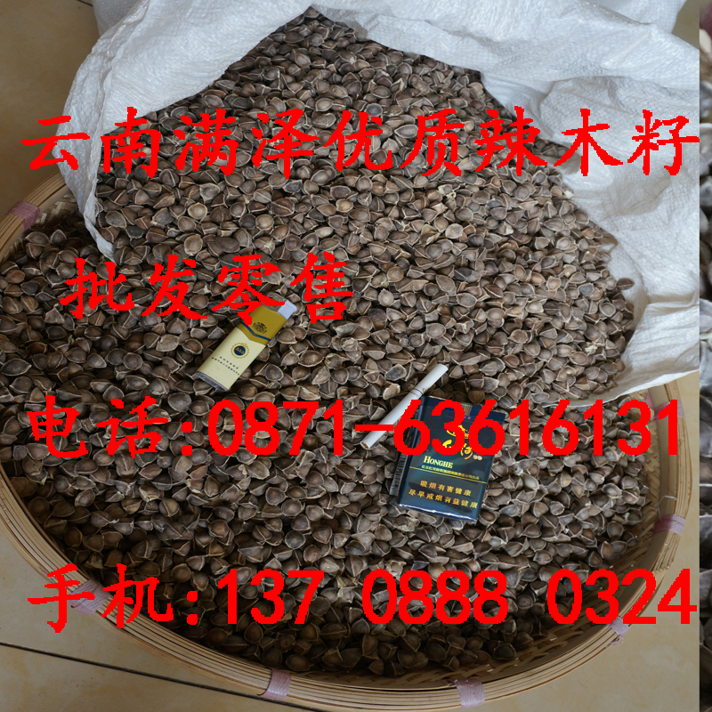 云南*辣木籽食用種植降三高，云南滿澤*非洲辣木籽，*天然辣木籽，辣木籽的功效與作用，昆明辣木籽有什么藥用價(jià)值