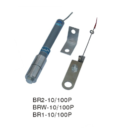 供應雷控BR2-10/50P電力電容器*熔斷器
