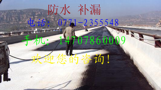 供應(yīng)南寧市樓面裂縫防水補(bǔ)漏公司