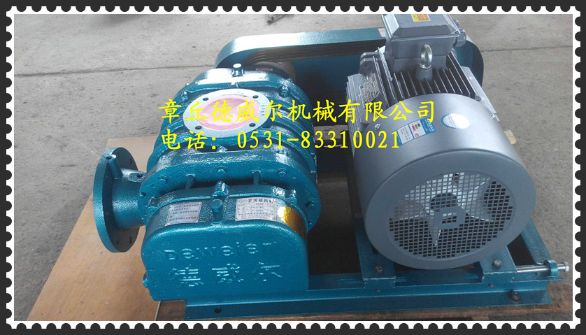 供應(yīng)成都維修羅茨風(fēng)機(jī)哪里好