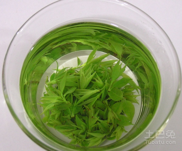 供應(yīng)北京地區(qū)小葉苦丁茶批發(fā) 優(yōu)質(zhì)小葉苦丁茶價(jià)格  青山綠水茶  毛冬青嫩芽 原產(chǎn)地直批 貨到付款