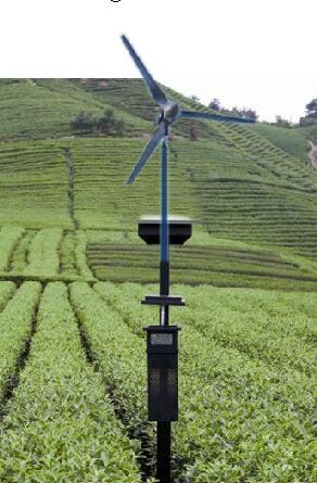 供應(yīng)風(fēng)光互補(bǔ)殺蟲燈