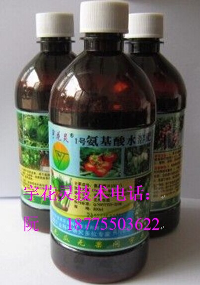 供應(yīng)用于種子的牛大力種子