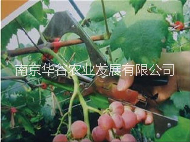 舒暢NJ99綁枝機(jī)HS編碼是多少
