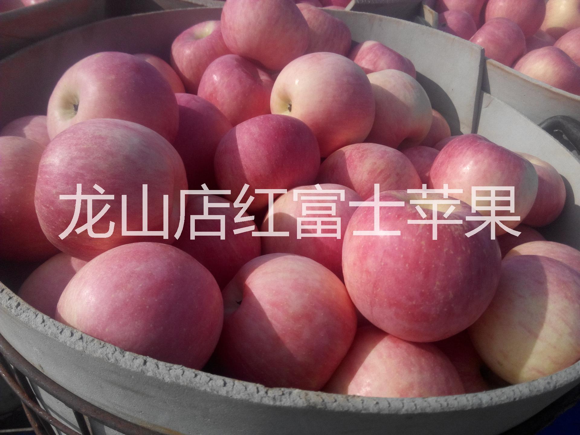 供應(yīng)煙臺(tái)嘎拉蘋(píng)果