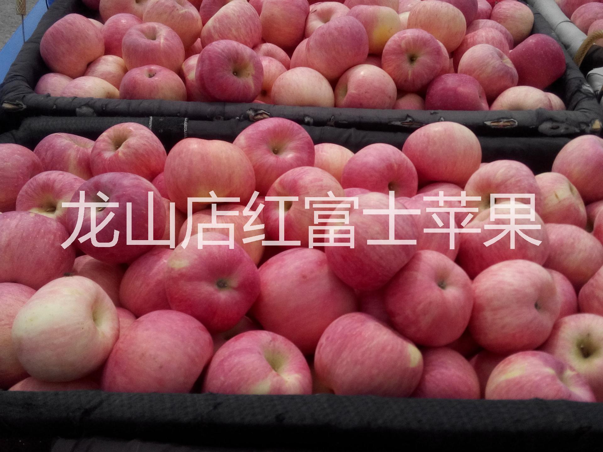 供應(yīng)用于原生態(tài)綠色食的蓬萊龍山店蘋果*