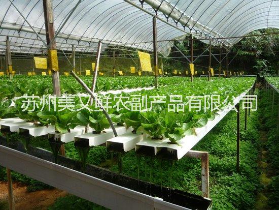 供應(yīng)蘇州蔬菜配送哪家好？吳江蔬菜配送，南環(huán)橋蔬菜配送公司，蘇州哪里有蔬菜配送