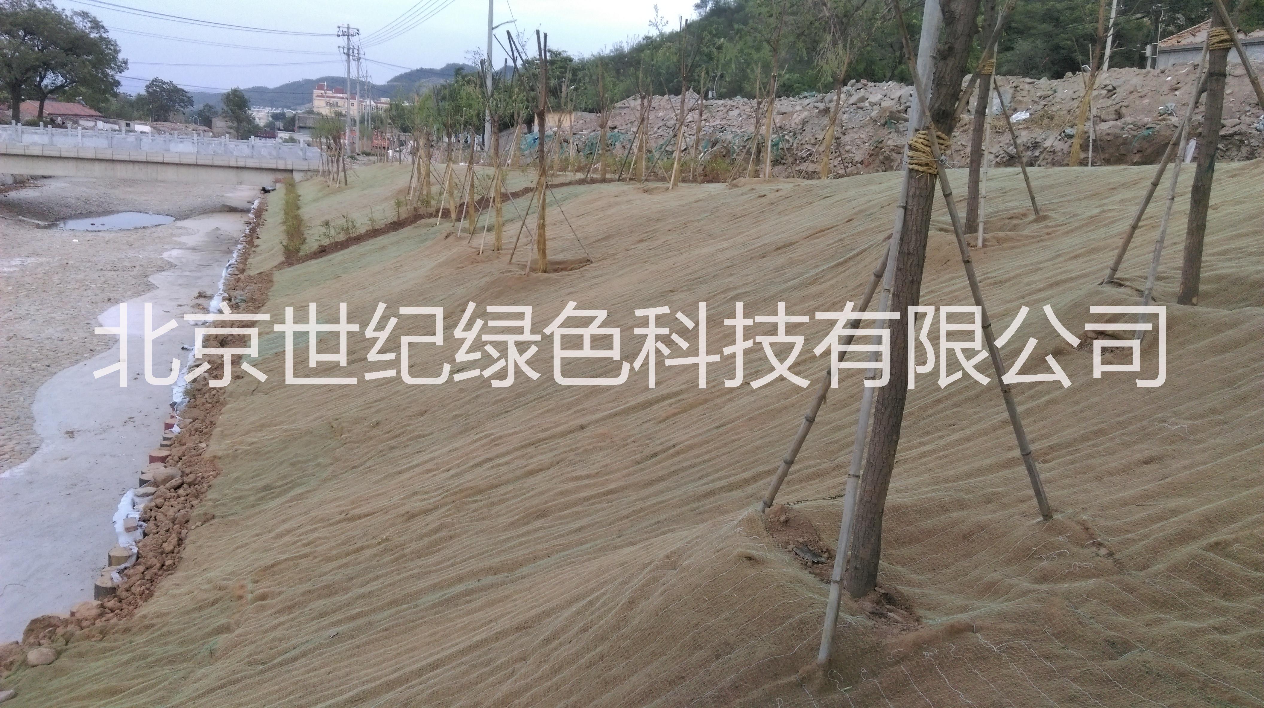 供應(yīng)綠化植生毯電話 綠化植被毯