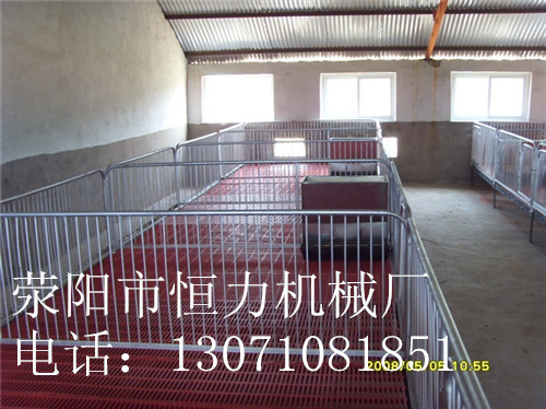 供應(yīng)鍍鋅母豬產(chǎn)床