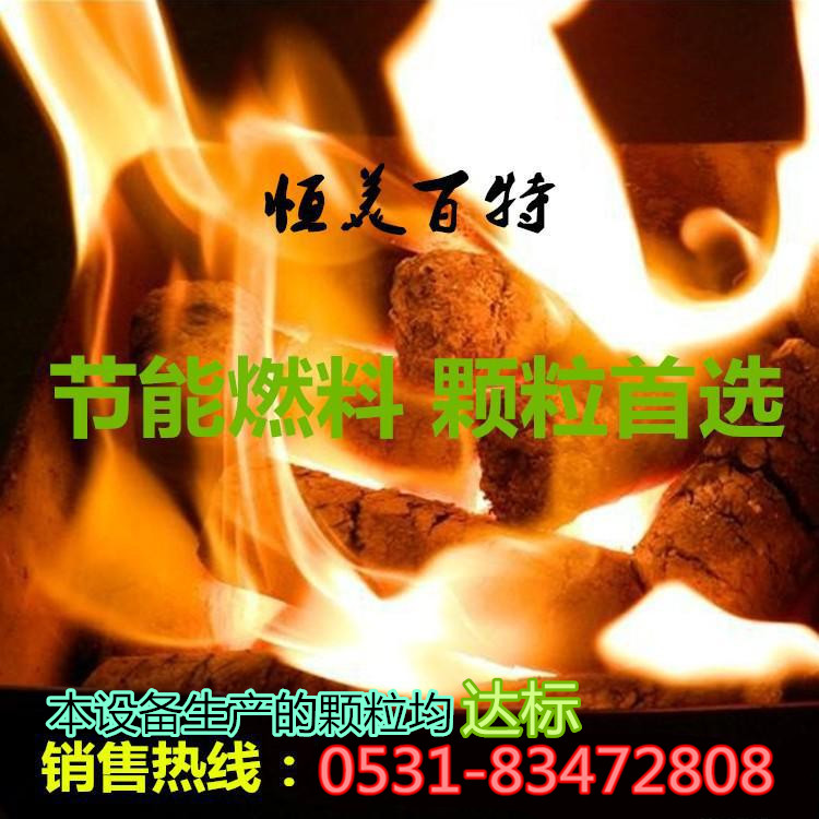 供應(yīng)山東木屑顆粒機(jī)廠家 秸稈造粒機(jī)批發(fā) 生物質(zhì)成型機(jī)報(bào)價(jià)  秸稈造粒機(jī)廠家