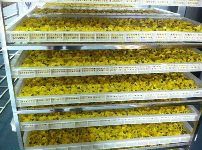 供應(yīng)菊花烘干機(jī)