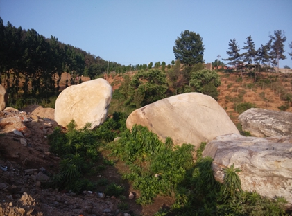 自然風景石 河南鵝卵石景觀石產(chǎn)地